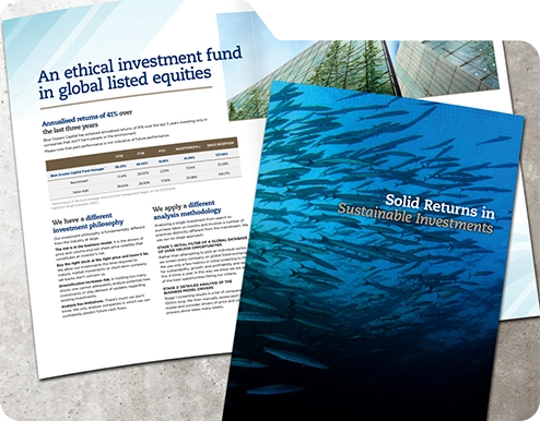 blue oceans sales brochure